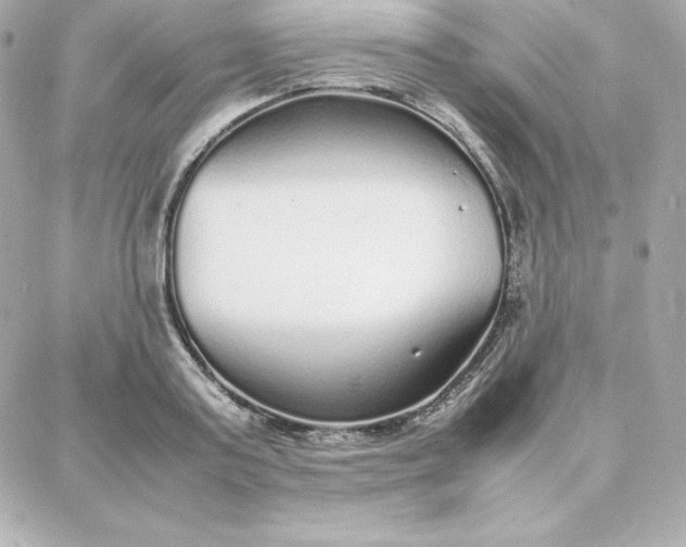 X0000087750795200705211036