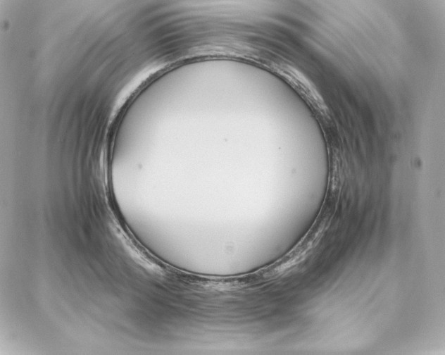 X0000087750796200705211036