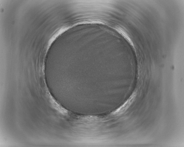 X0000087750797200705211036