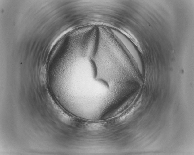 X0000087750798200705211036