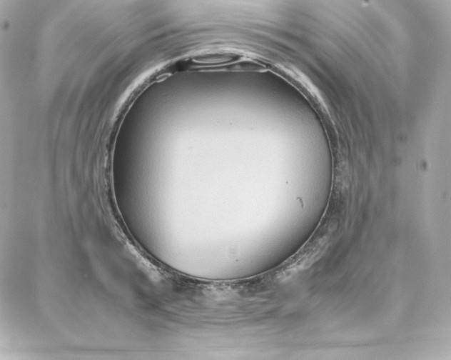 X0000087750799200705211036