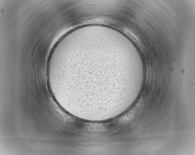 X0000087750800200705211036