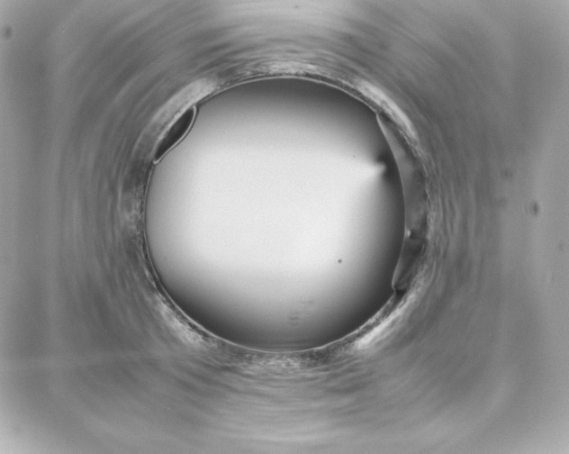 X0000087750801200705211036