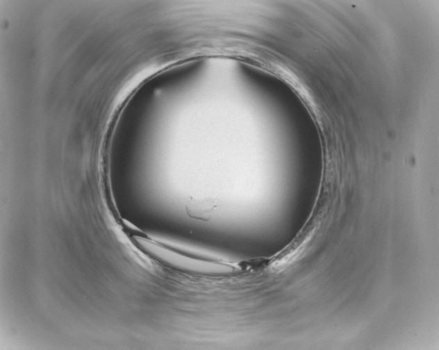 X0000087750803200705211036