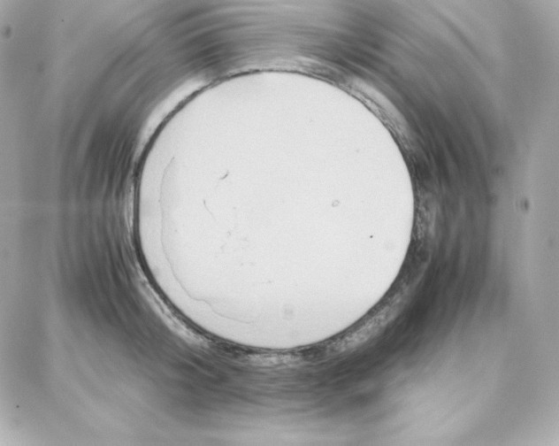 X0000087750804200705211036