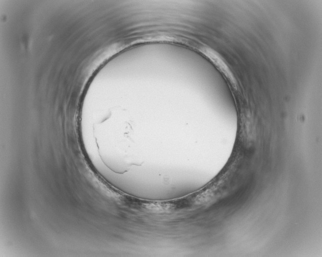 X0000087750805200705211036