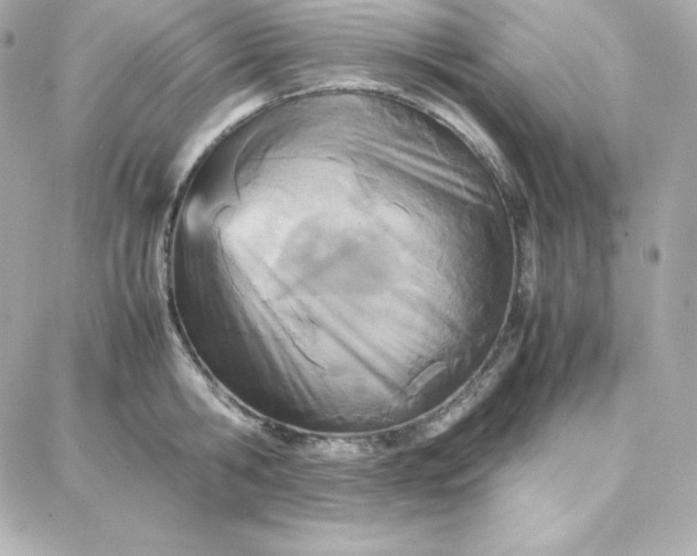 X0000087750806200705211036