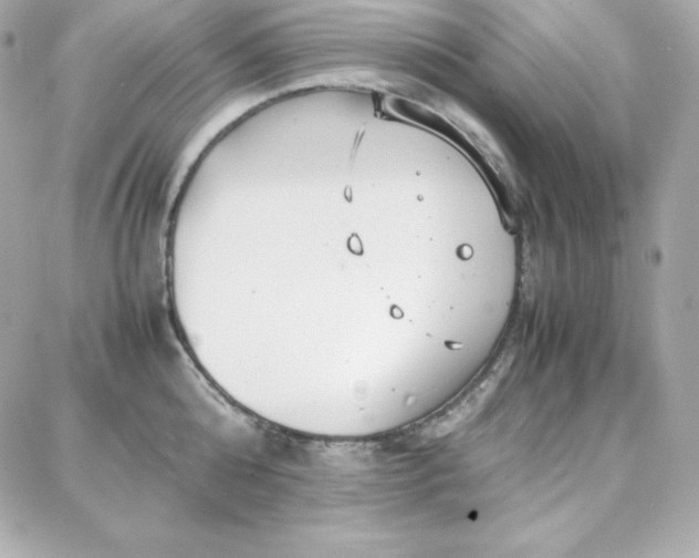 X0000087750808200705211036