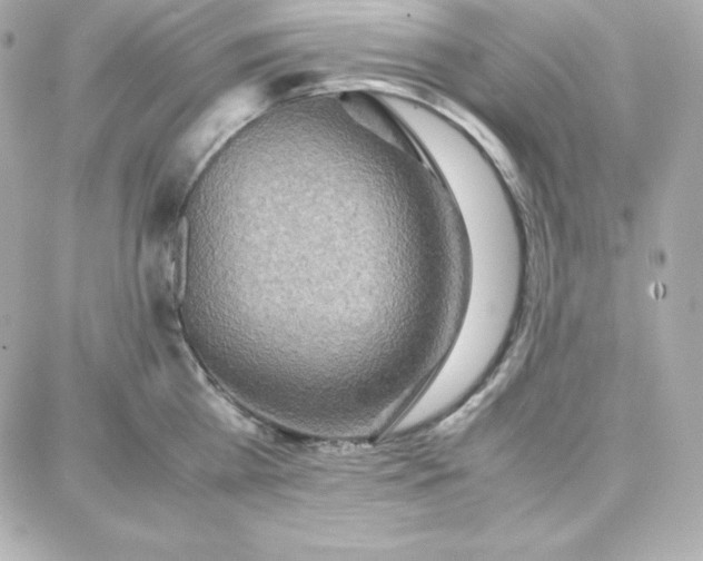 X0000087750809200705211036