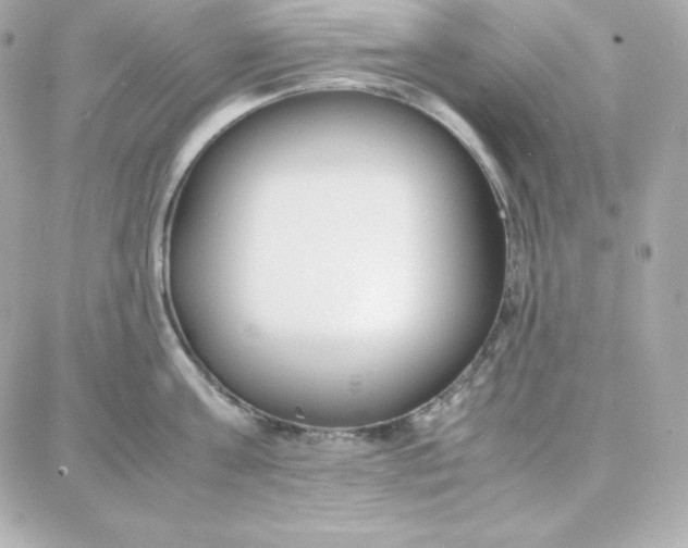 X0000087750811200705211036