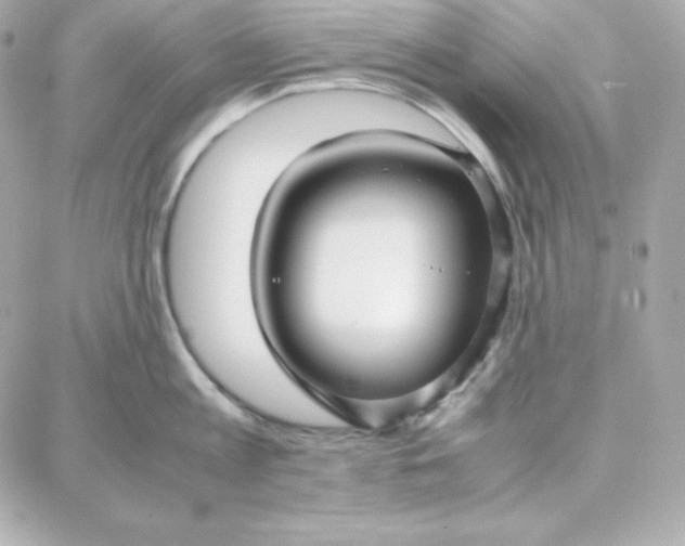 X0000087750813200705211036