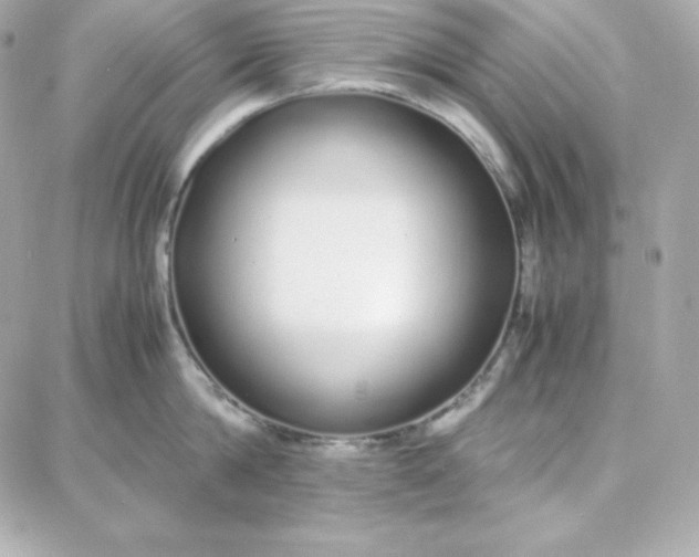 X0000087750814200705211036