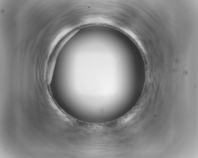 X0000087750815200705211036