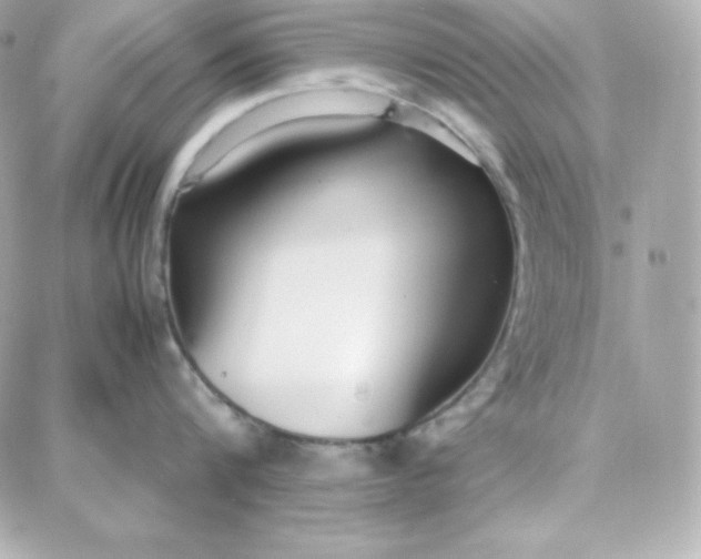 X0000087750816200705211036