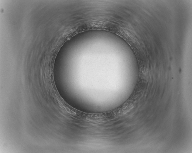 X0000087750817200705211035