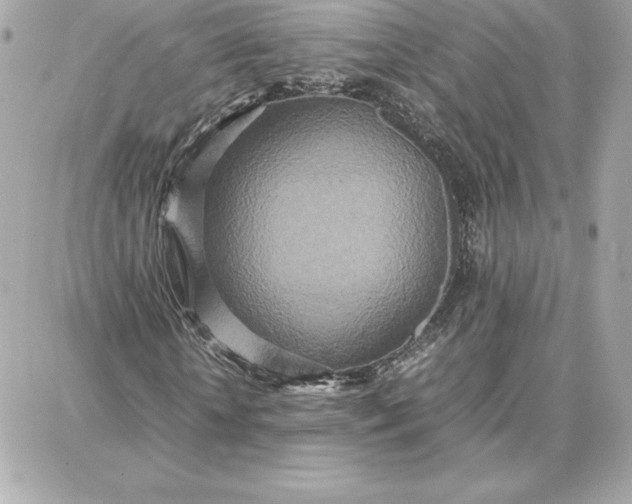 X0000087750818200705211035