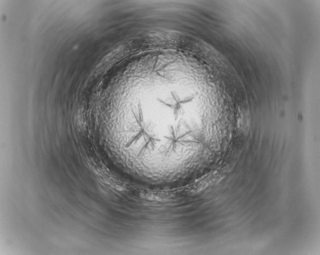 X0000087750819200705211035