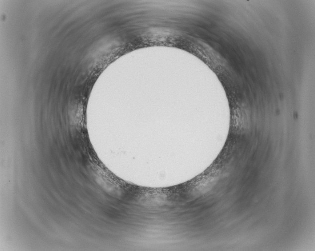 X0000087750820200705211035