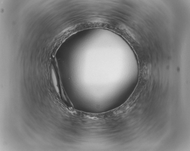 X0000087750821200705211035