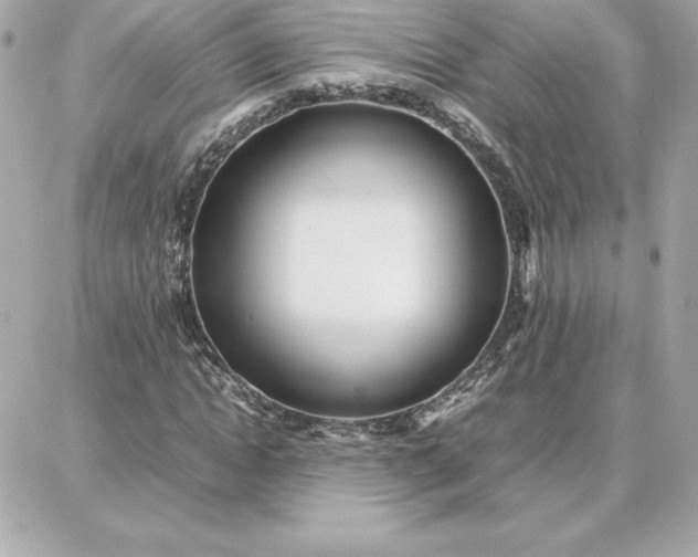 X0000087750822200705211035