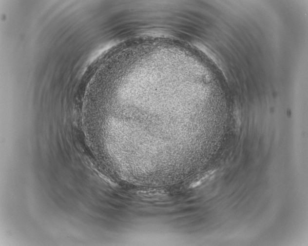 X0000087750823200705211035