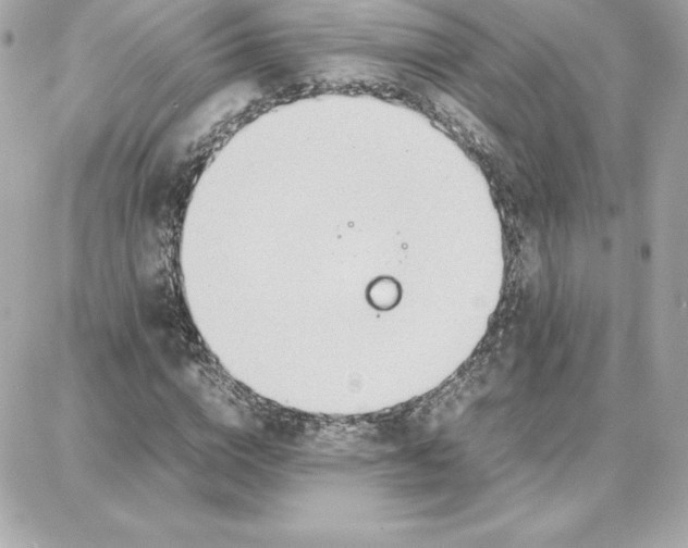 X0000087750824200705211035