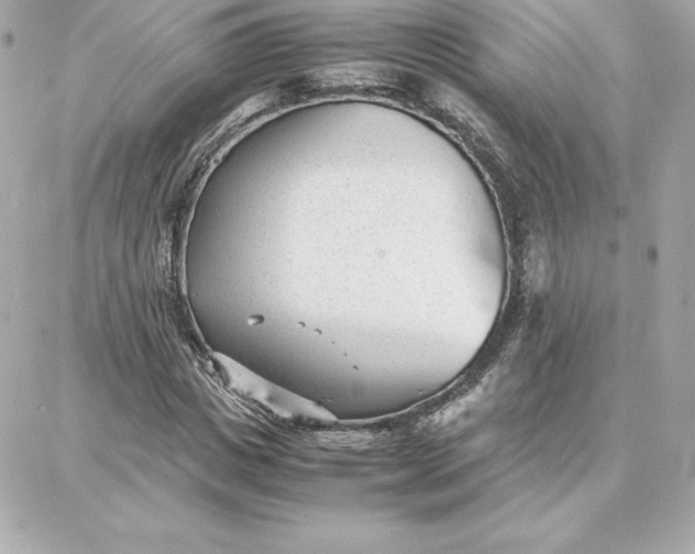 X0000087750825200705211035