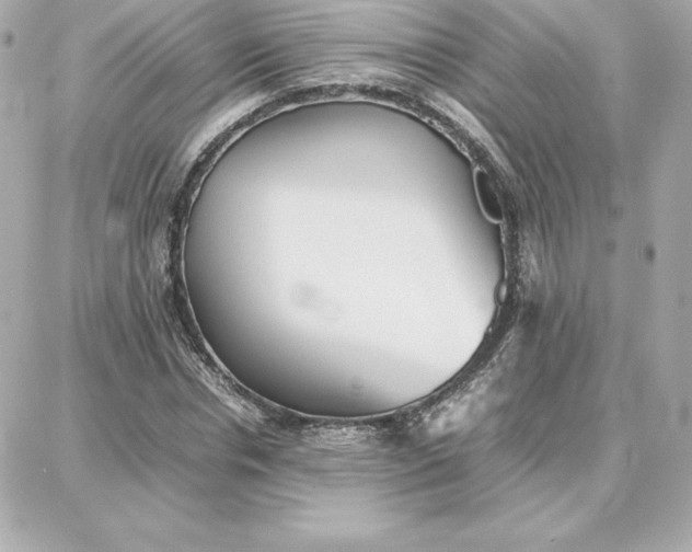 X0000087750826200705211035