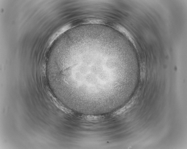 X0000087750827200705211035