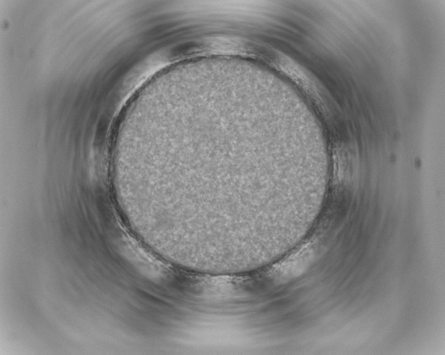 X0000087750828200705211035