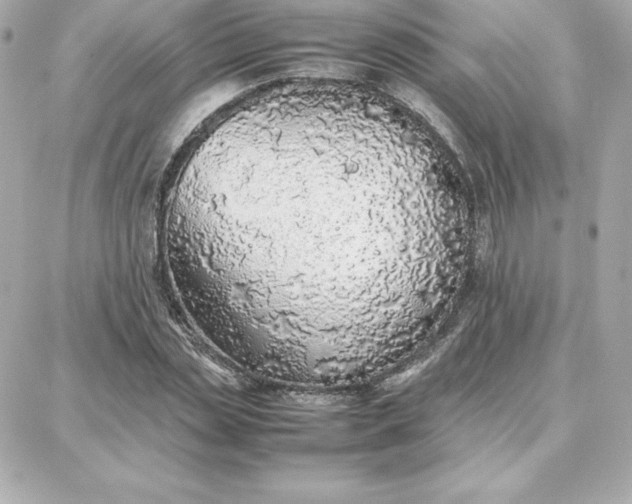 X0000087750829200705211035