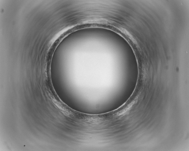 X0000087750830200705211035