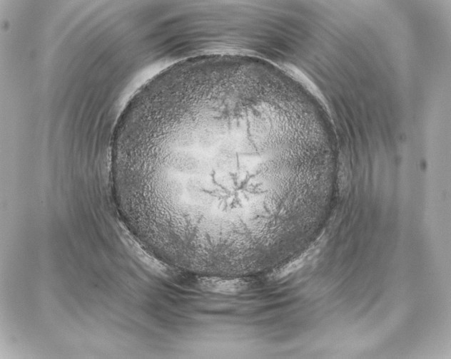 X0000087750831200705211035