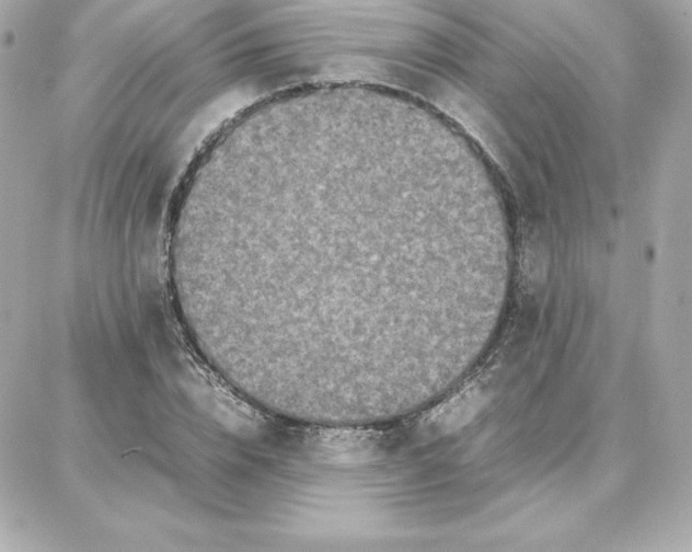 X0000087750832200705211035