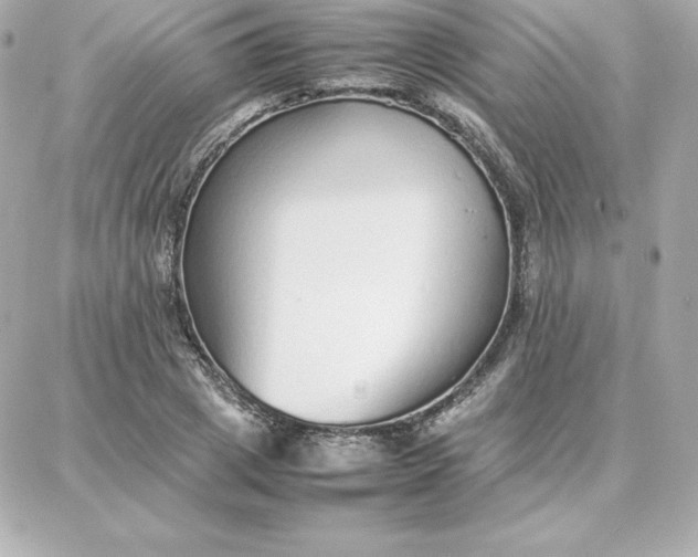 X0000087750833200705211035