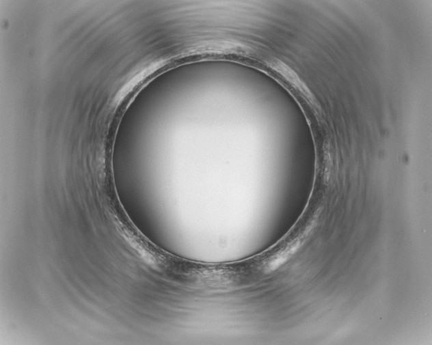 X0000087750834200705211035