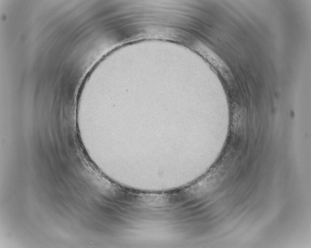 X0000087750836200705211035