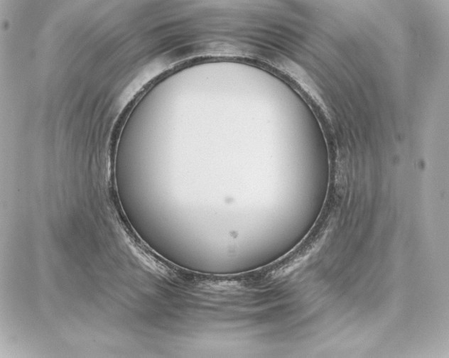 X0000087750837200705211035