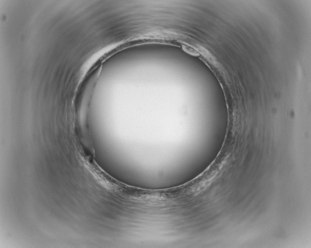 X0000087750838200705211035