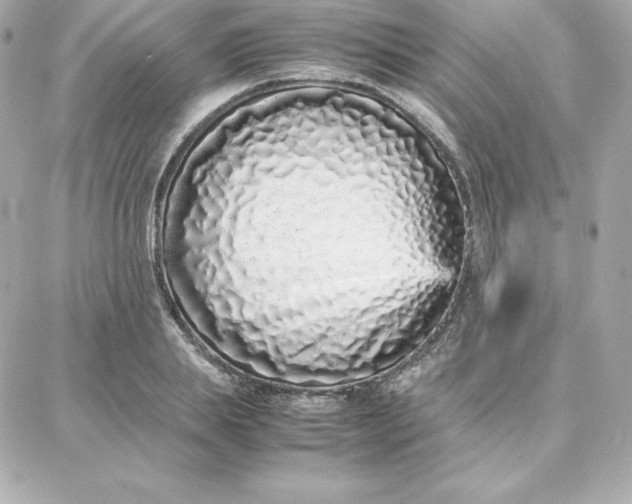 X0000087750839200705211035