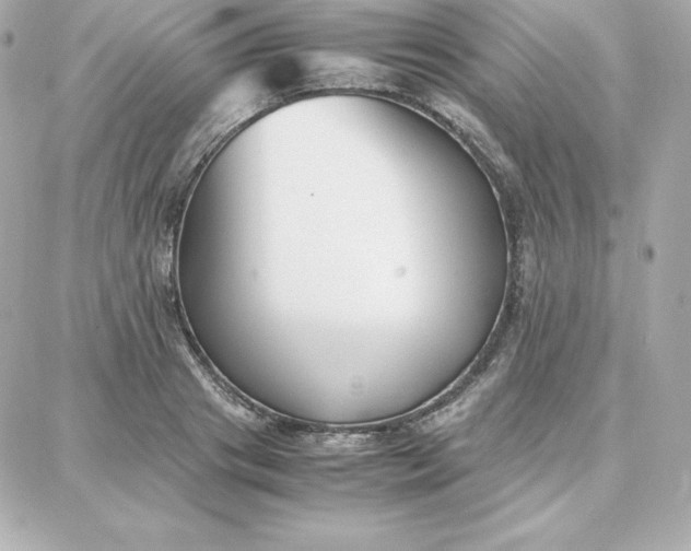 X0000087750841200705211035