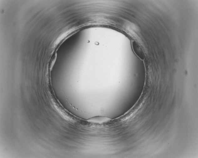 X0000087750842200705211035