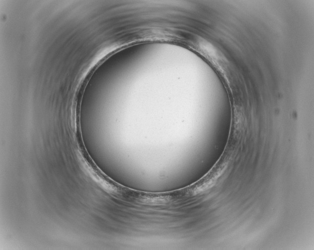 X0000087750843200705211035