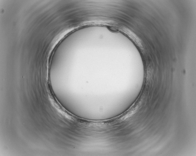 X0000087750844200705211035