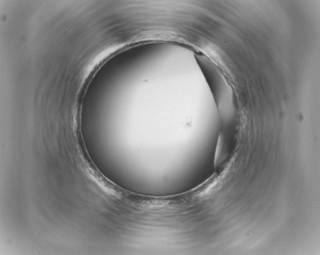 X0000087750846200705211035