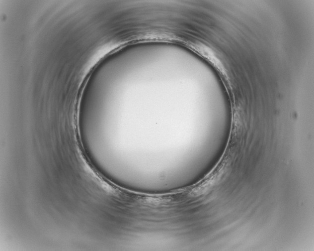 X0000087750847200705211035