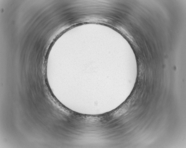 X0000087750848200705211035