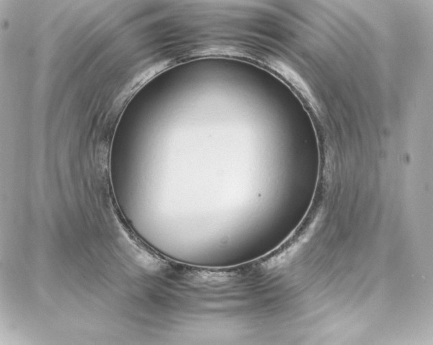 X0000087750849200705211035