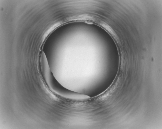 X0000087750850200705211035