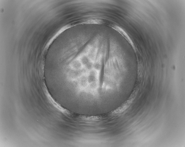 X0000087750851200705211035